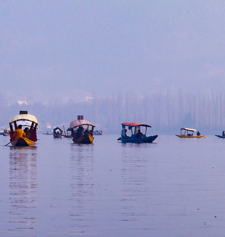 North India